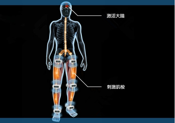 vibramoov (2)570403_副本.jpg