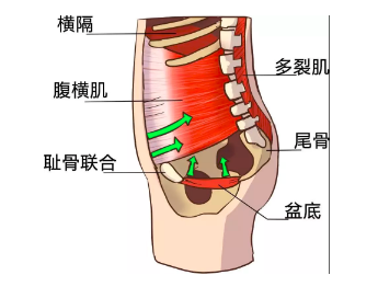 微信截图_20210809145158.png